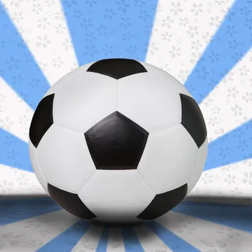 世俱杯实时比分和赛程截图